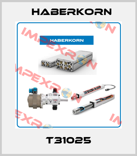 T31025 Haberkorn