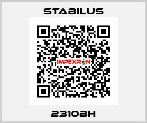 2310BH Stabilus
