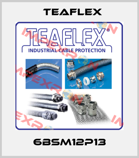 6BSM12P13 Teaflex