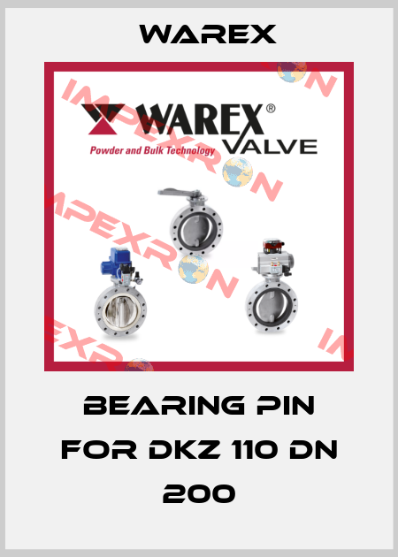 Bearing pin for DKZ 110 DN 200 Warex