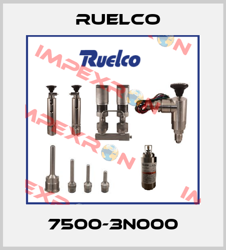 7500-3N000 Ruelco