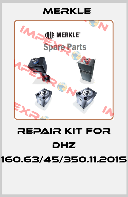 REPAIR KIT FOR DHZ 160.63/45/350.11.201S  Merkle