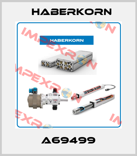 A69499 Haberkorn