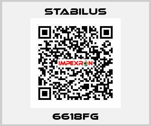 6618FG Stabilus