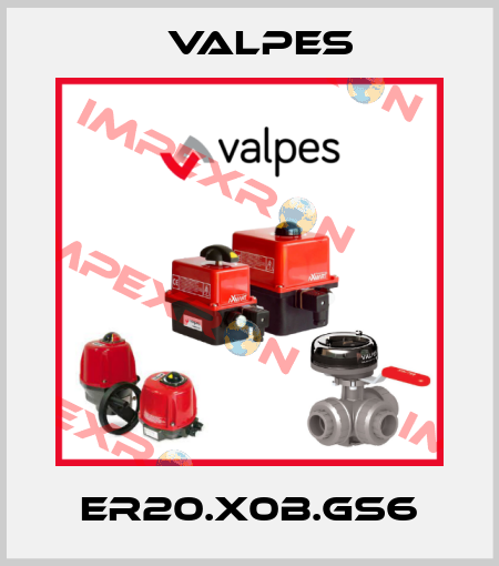 ER20.X0B.GS6 Valpes