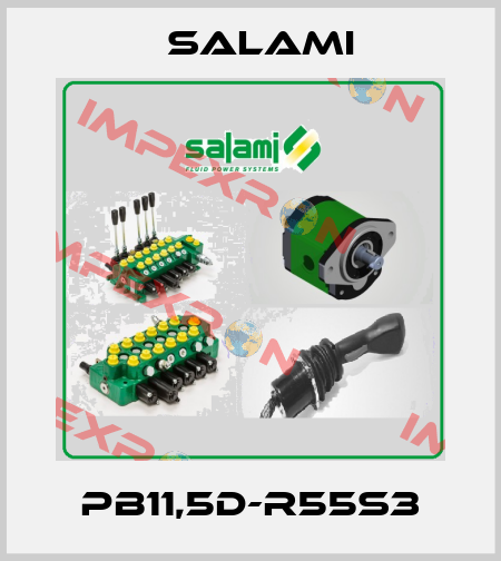 PB11,5D-R55S3 Salami
