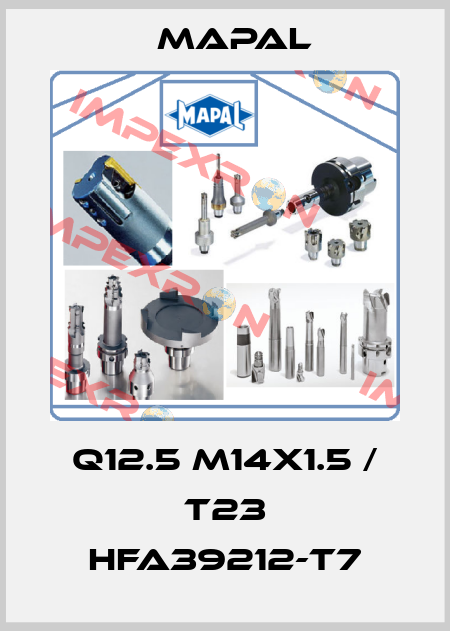 Q12.5 M14X1.5 / T23 HFA39212-T7 Mapal