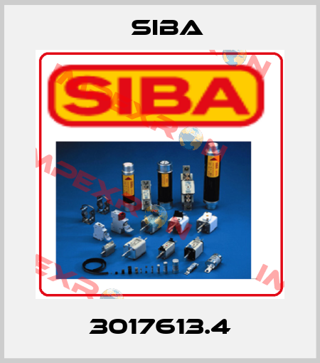 3017613.4 Siba
