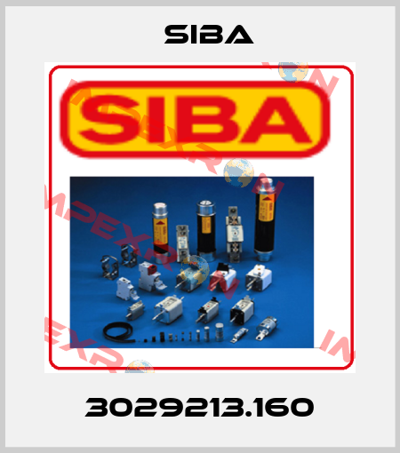 3029213.160 Siba