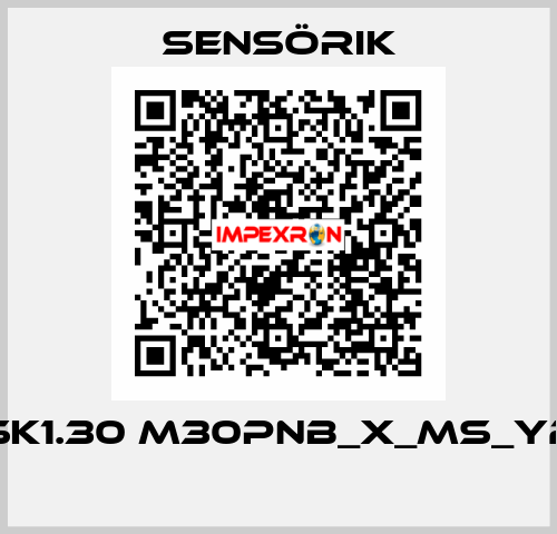 SK1.30 M30PNB_X_MS_Y2  Sensörik
