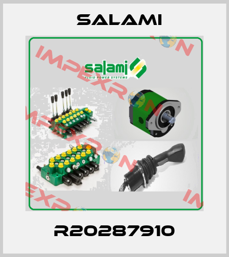 R20287910 Salami