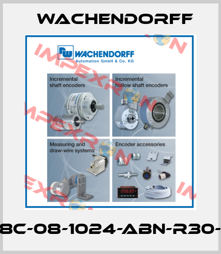 WDGI-58C-08-1024-ABN-R30-K3-070 Wachendorff