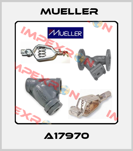 A17970 Mueller