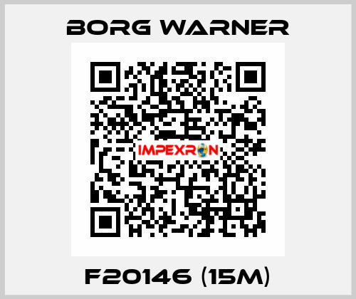 F20146 (15m) Borg Warner