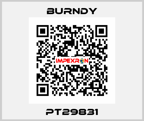 PT29831 Burndy