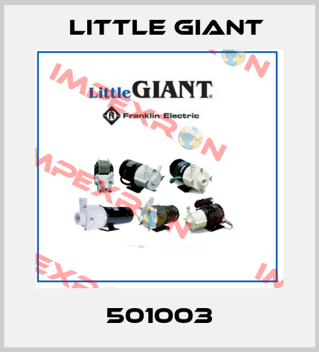 501003 Little Giant