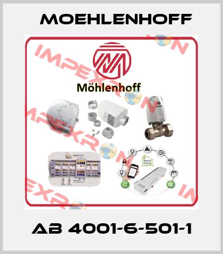 AB 4001-6-501-1 Moehlenhoff