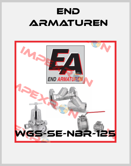 WGS-SE-NBR-125 End Armaturen