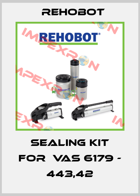 sealing kit for  VAS 6179 - 443,42 Rehobot