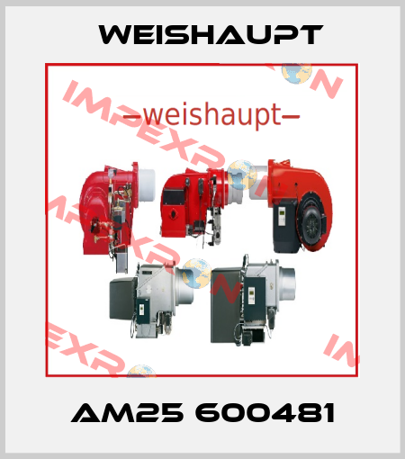 AM25 600481 Weishaupt