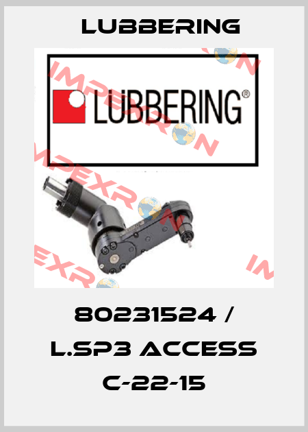 80231524 / L.SP3 access C-22-15 Lubbering
