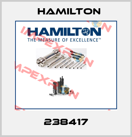 238417 Hamilton