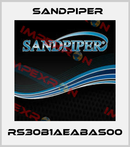 RS30B1AEABAS00 Sandpiper