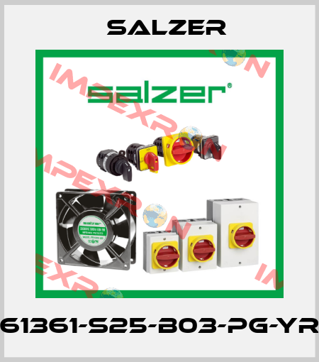 61361-S25-B03-PG-YR Salzer