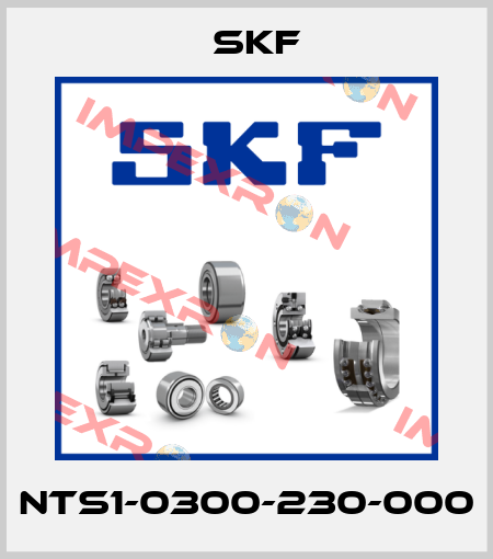 NTS1-0300-230-000 Skf