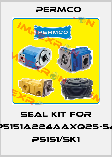 SEAL KIT FOR P5151A224AAXQ25-54   P5151/SK1 Permco