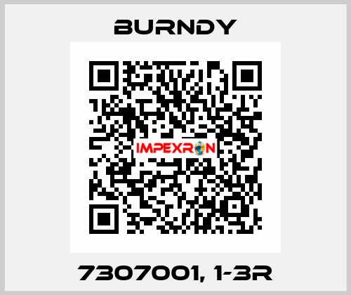 7307001, 1-3R Burndy
