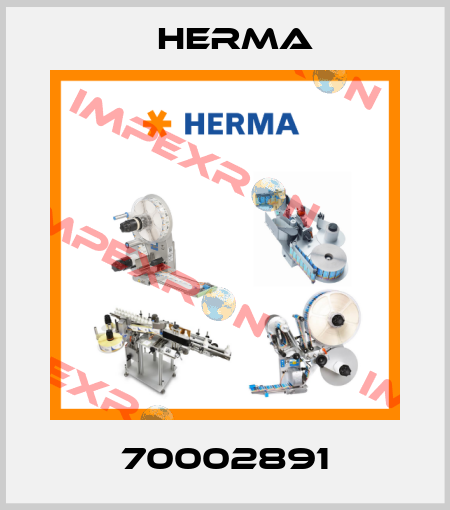 70002891 Herma