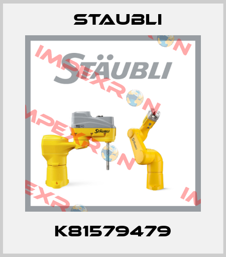 K81579479 Staubli