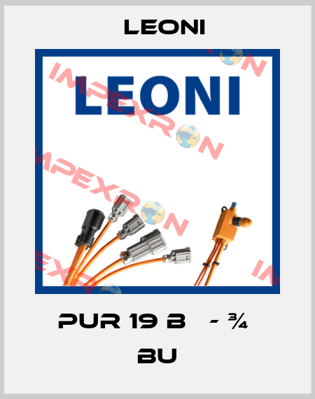 PUR 19 B   - ¾  BU Leoni
