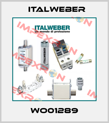 WO01289 Italweber