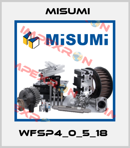 WFSP4_0_5_18  Misumi