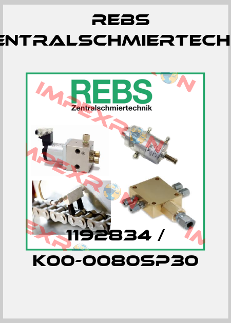 1192834 / K00-0080SP30 Rebs Zentralschmiertechnik