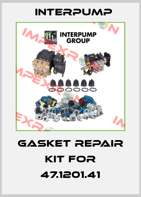 gasket repair kit for 47.1201.41 Interpump