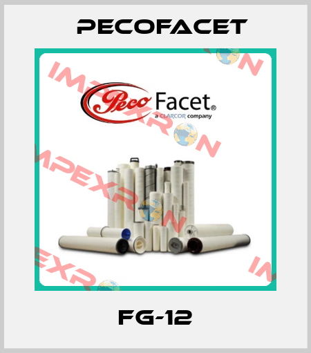 FG-12 PECOFacet