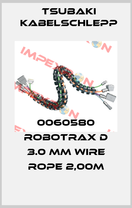 0060580 Robotrax D 3.0 mm wire rope 2,00M Tsubaki Kabelschlepp