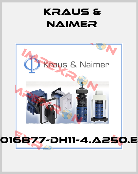 70016877-DH11-4.A250.EGF Kraus & Naimer