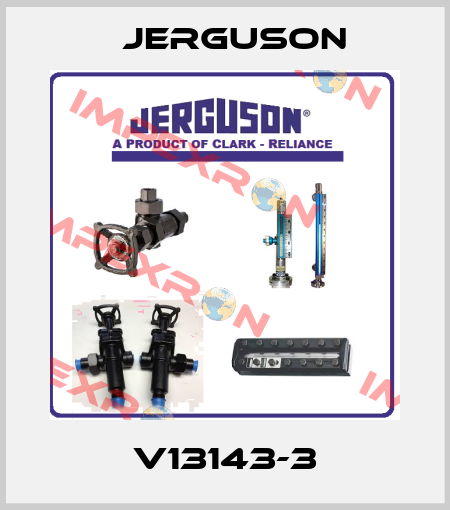 V13143-3 Jerguson