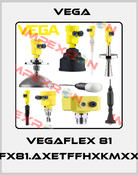 VEGAFLEX 81 (FX81.AXETFFHXKMXX) Vega