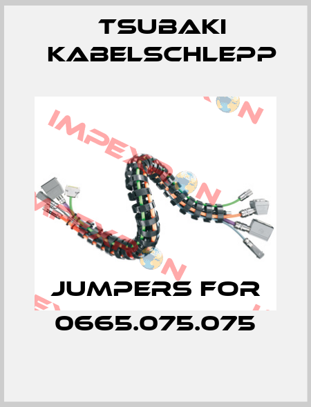 jumpers for 0665.075.075 Tsubaki Kabelschlepp