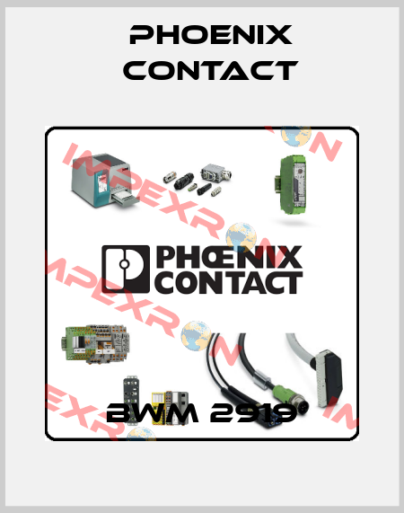 BWM 2919 Phoenix Contact