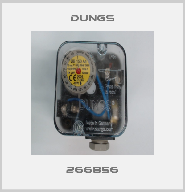 266856 Dungs