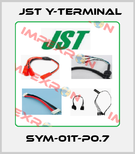 SYM-01T-P0.7 Jst Y-Terminal