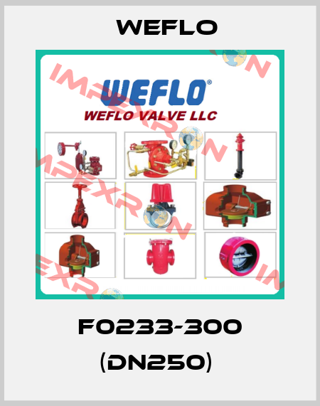 F0233-300 (DN250)  Weflo