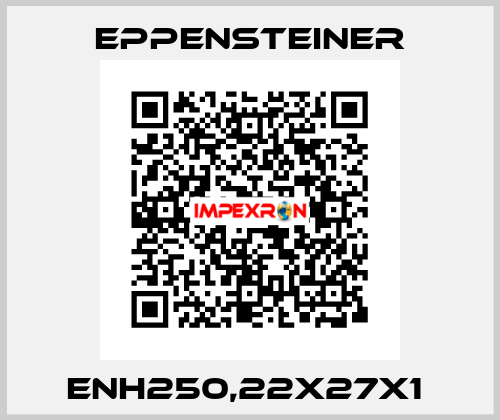 ENH250,22X27X1  Eppensteiner