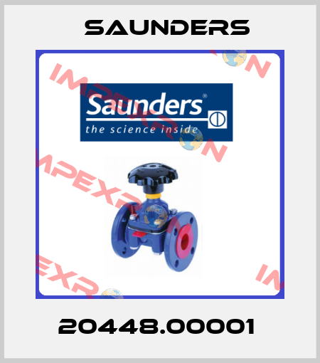 20448.00001  Saunders